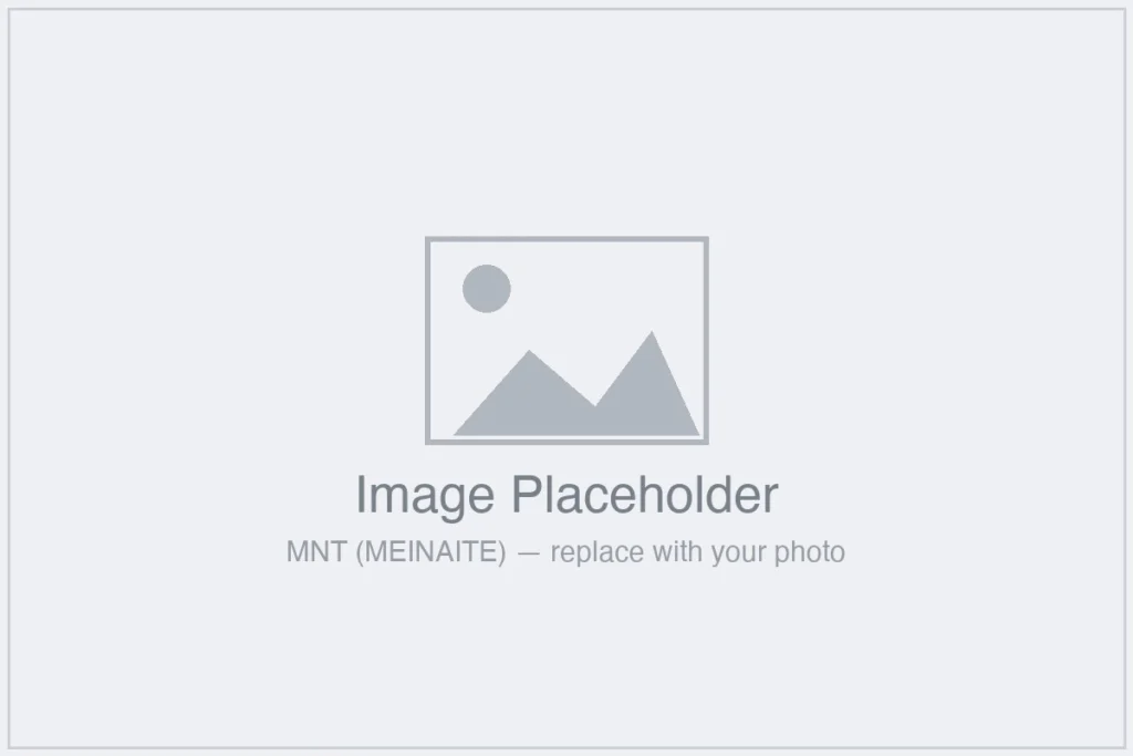 MNT MEINAITE image placeholder