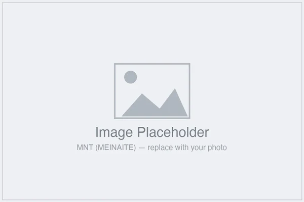 MNT MEINAITE image placeholder