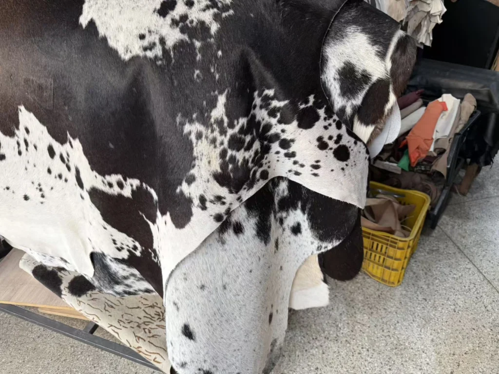 Black and white hair-on cowhide, a genuine leather hide cut on an MNT CNC oscillating knife cutter
